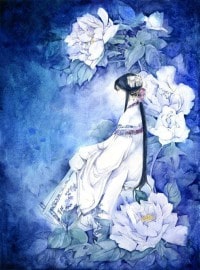 (BG/红楼同人)红楼之林家小妾